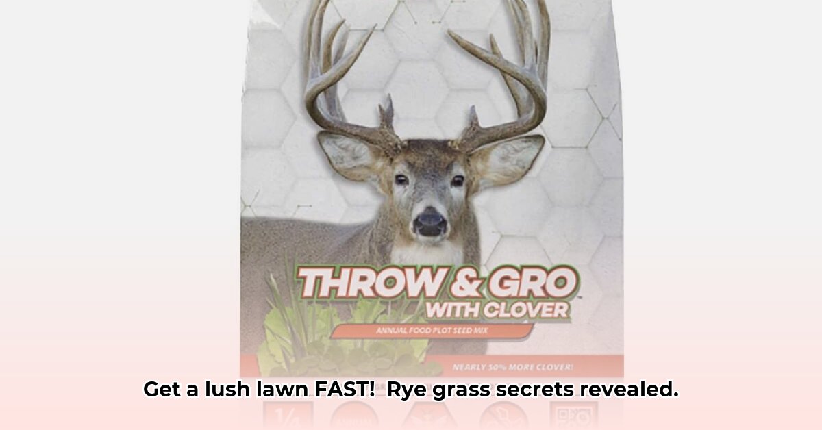 rye-grass-tractor-supply